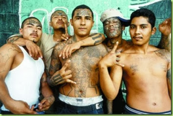more-fine-illegal-aliens